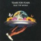 Tears for Fears - Rule the World (The Best 2LP)