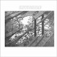 Invisible - Invisible