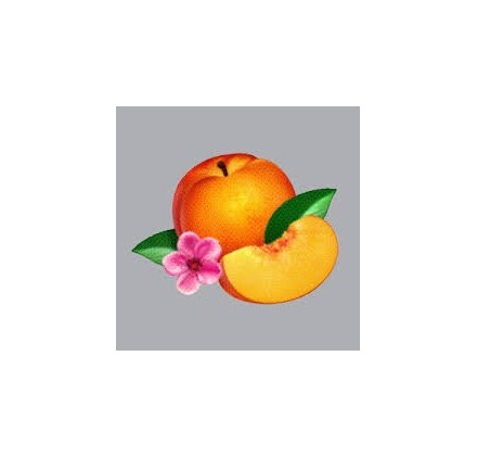 Phoenix - Bankrupt
