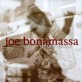 Joe Bonamassa - Blues deluxe (2lp) Burgundy Red