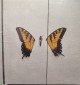 Paramore - Brand New Eyes
