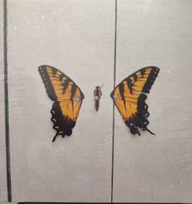 Paramore - Brand New Eyes