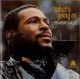 Marvin Gaye - WhatÂ´S Going On